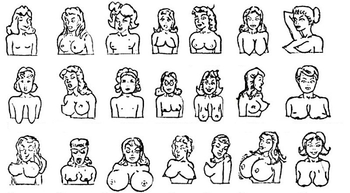 Основные виды женской груди